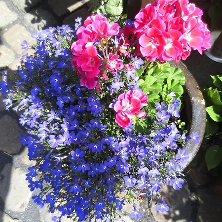 Vulkaneifel Garden Retreat, Cleaning Included Apartment