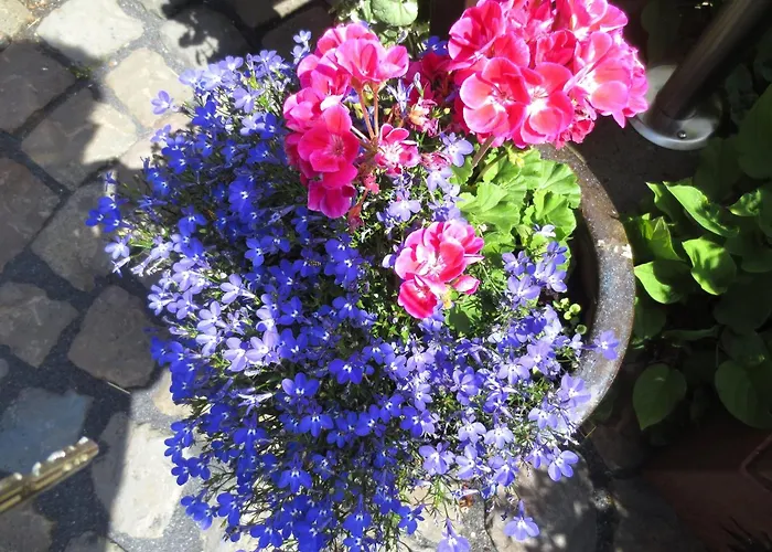 Vulkaneifel Garden Retreat, Cleaning Included Apartment